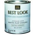Worldwide Sourcing Best Look Latex Flat Brilliant White Paint And Primer In One Ceiling Paint HW36W0840-14